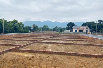 TƯ VẤN TÁCH THỬA, LÊN THỔ CƯ